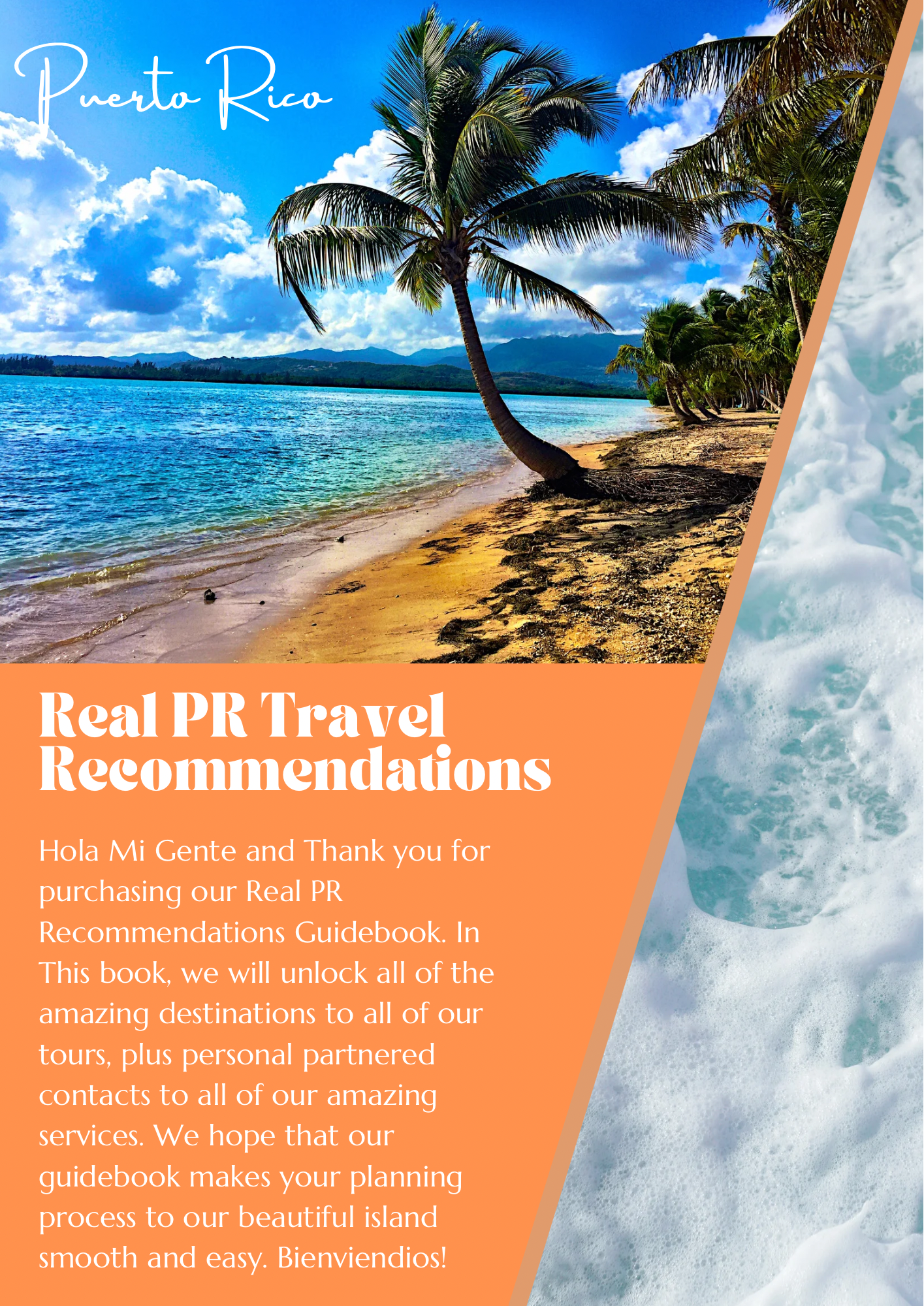 The Real Puerto Rico Travel Guidebook